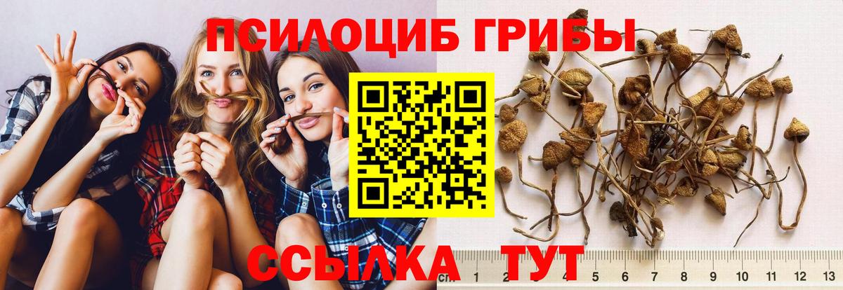 Тимашёвск  Галлюциногенные грибы Psilocybine cubensis  Вход с VPN  Галлюциногенные грибы Magic Shrooms 
